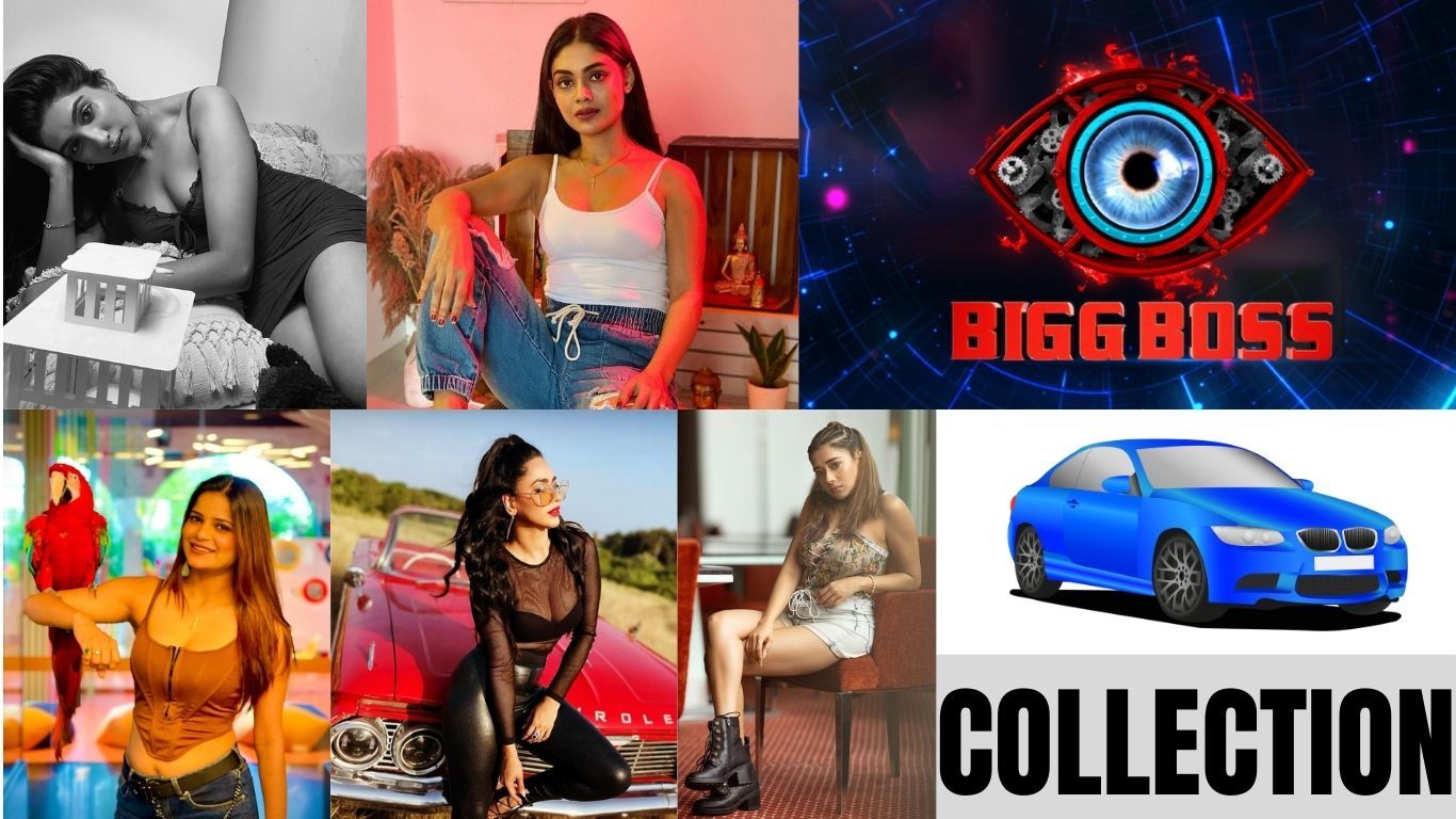 बिग बॉस 16 कंटेस्टेंट्स कार कलेक्शन, घर की सबसे महंगी कार Bigg_Boss_16_contestants_car_collection_5a7cef145d.jpg