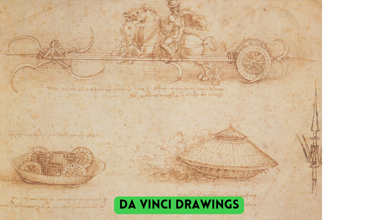 Da VINCI (21).png