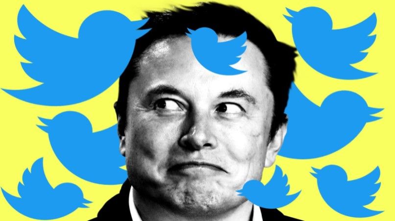 CEO Elon Musk agrees to buy Twitter in $44 Million Deal: Tesla shares fell Elon_twitter_63ce1816f5.jpg