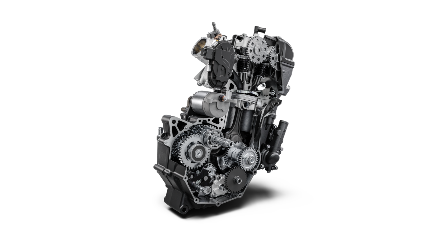 Engine Features of Svartpilen 401
