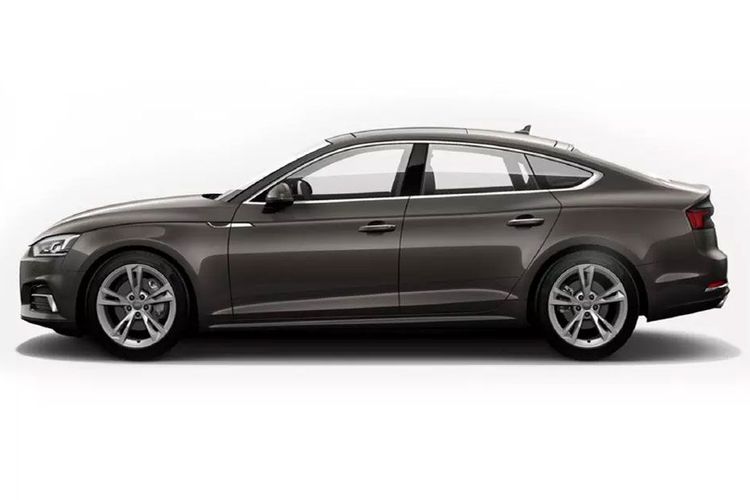 Argus Brown Metallic Argus Brown Metallic