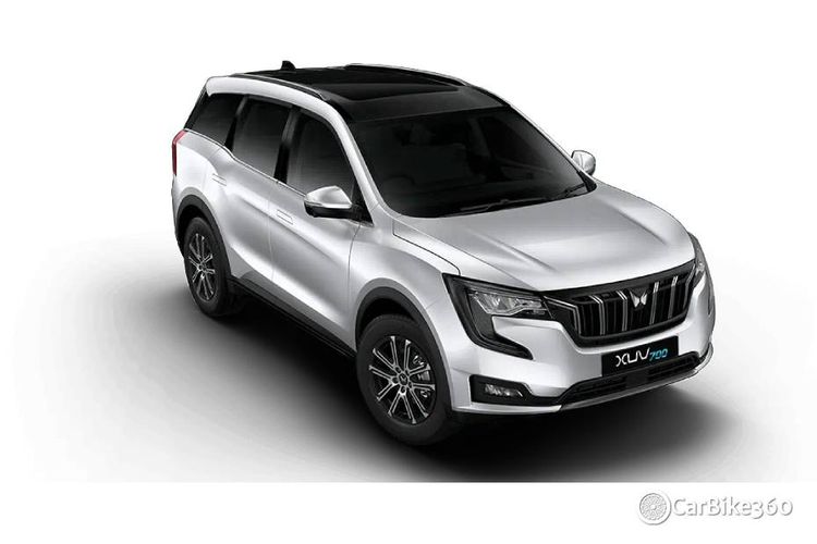 Everest White DT Everest White DT