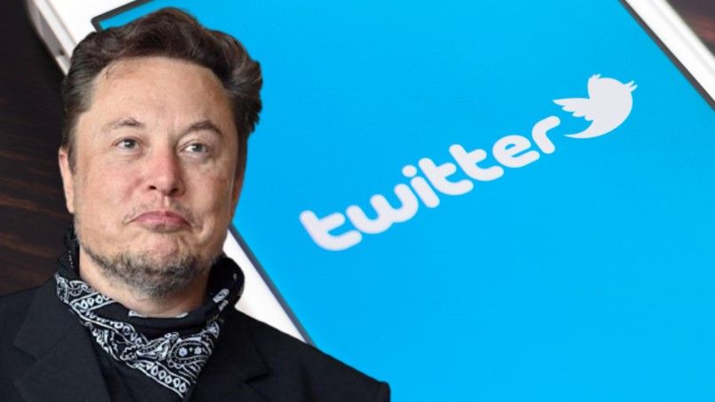 एलन मस्क के पास अब ट्विटर का भी एक छोटा सा हिस्सा है: News Flash musk_twitter_62d2b3204f.jpg