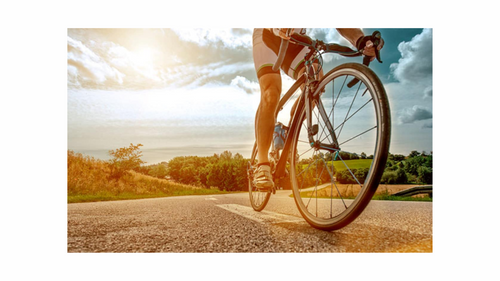 Cycling: A Fun and Effective Way to Lose Weight Cycling: A Fun and Effective Way to Lose Weight