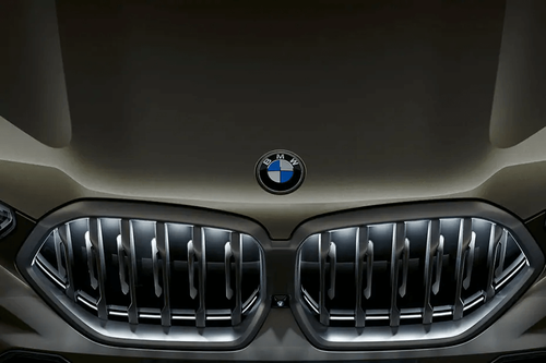 BMW X6 Grille BMW X6 Grille