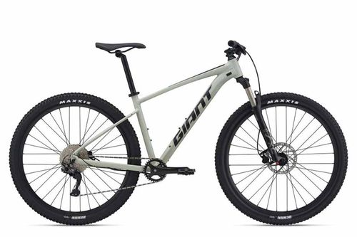 Giant Talon 29 1(2021) Giant Talon 29 1(2021)