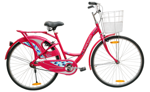 Best bicycle for seniors Best bicycle for seniors