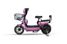 Warivo Motors Smarty
