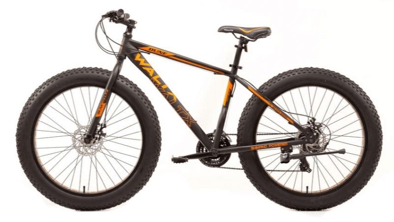 waltx dune 1